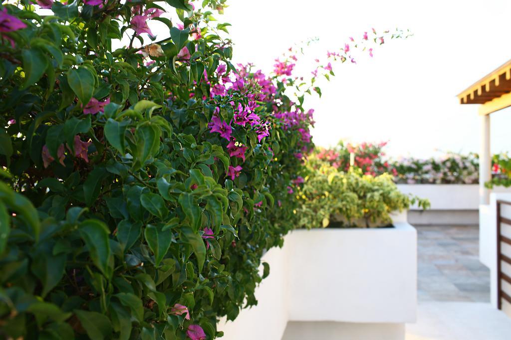 Apartamento Playa 34/40 *